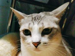 -谜盒子奇幻密室(南屏店)