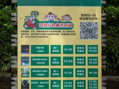 -深圳野生动物园