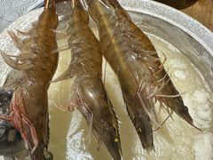 -丰尔粥食·粥底火锅(大良总店)