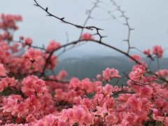 -十九峰景区-倒脱靴