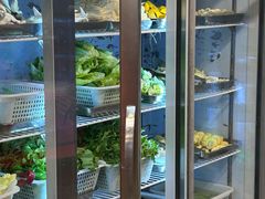 -金鼎雪山牦牛杂火锅(理县总店)