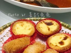 蛋挞-骏莱海鲜鱼港(五角场店)
