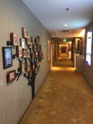 点击看大图 会所走廊-琅悦月子会所(香格里拉旗舰店)