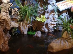 -多哥水傣味餐厅(司马巷店)