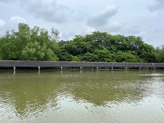 -东寨港红树林旅游区