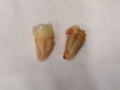 -瑞尔齿科(颐堤港诊所)