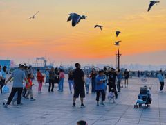 -东港音乐喷泉广场