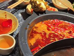 -蜀大侠火锅(总府路店)