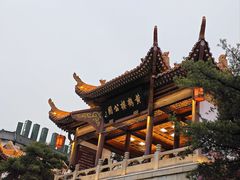 -老宅藕香·湖北菜·非遗藕汤·武昌鱼(黄鹤楼景观店)