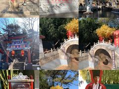 -红螺寺