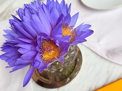 -沁蝶 Butterfly Patisserie甜品蛋糕(北京瑰丽酒店)
