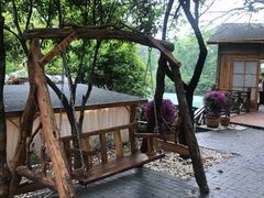 -张鸟园农家乐(张鸟园店)