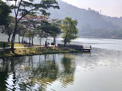 -顺峰山公园
