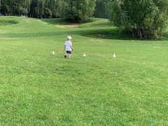 -长白岛森林公园