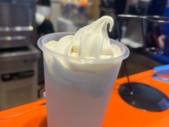 -萨朗刀克冰淇淋雪花凉(植物园店)