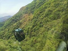 -王顺山国家森林公园
