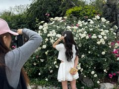 -人民公园(罗湖区)