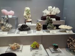 -湖南省地质博物馆