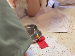 -宠爱国际动物医院·消化内科·心肾内科·ISFM猫友好(望京店)