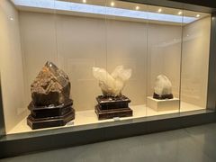 -安徽省地质博物馆