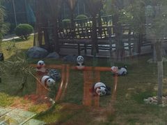 -东方华地城湿地温泉度假区
