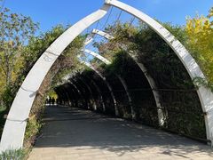 -天津东丽湖风景区