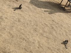-无锡动物园·太湖欢乐园