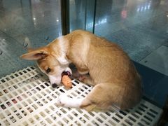 -乐宠宠物店(世纪金源店)