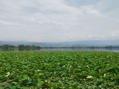 -西昌邛海湿地