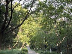 -太子山公园(园东路)
