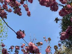 -郑州中国绿化博览园