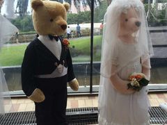 -济州岛泰迪熊博物馆