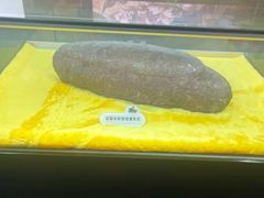 -诸城市恐龙博物馆