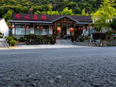 -呼吸森林·生态农庄农家乐私房菜