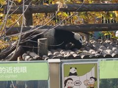 -大连森林动物园