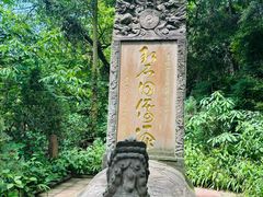 -青城山