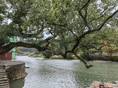 -上坦村