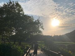 -八卦田遗址公园