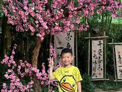 -小河无名面馆