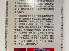 -中国沉香文化博物馆