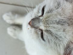 -怪兽屋·羊驼·猫咖·狗咖(俊华广场店)