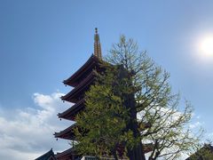 -浅草寺