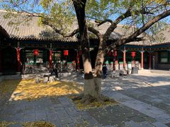 -张学良旧居陈列馆