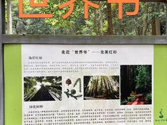 -杭州植物园