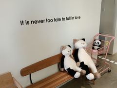 -Cappucimeow猫咪咖啡馆(韦伯时代店)