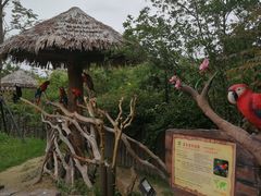 -野生动物园-停车场