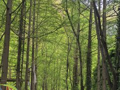 -郧西五龙河风景区