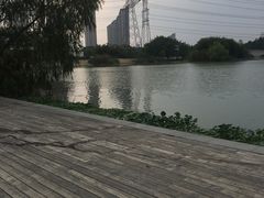 -九里河湿地公园