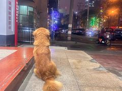 -传古推拿·古法按摩(义井路店)