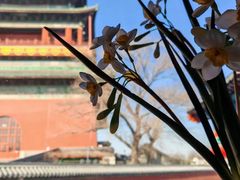 -姚记炒肝店(鼓楼店)